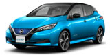 Leaf 2 (ZE1)