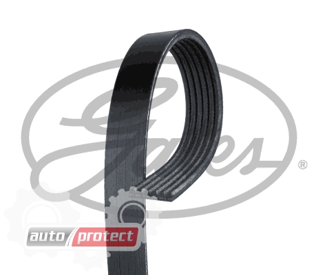 Gates 6PK1030SF Ремень поликлиновый Gates на Ford – купить Gates ...