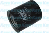 Kavo Parts TF-1355   AMC