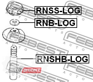  4 - Febest RNSS-LOG    