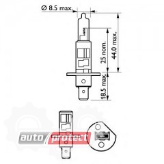  2 - Philips NightGuideDoubleLife H1 12V 55W  , 1 2